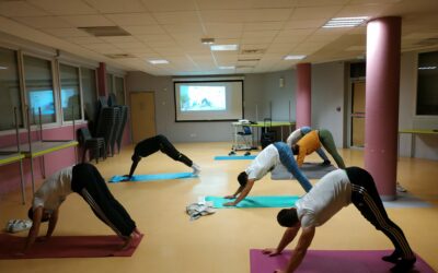 Remise en forme après les fêtes !