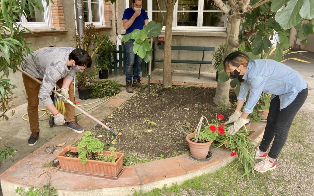 Un potager urbain