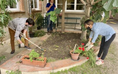 Un potager urbain