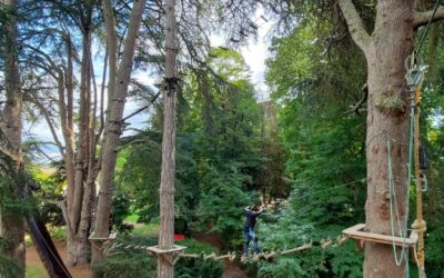 Parcours d’aventure en forêt !